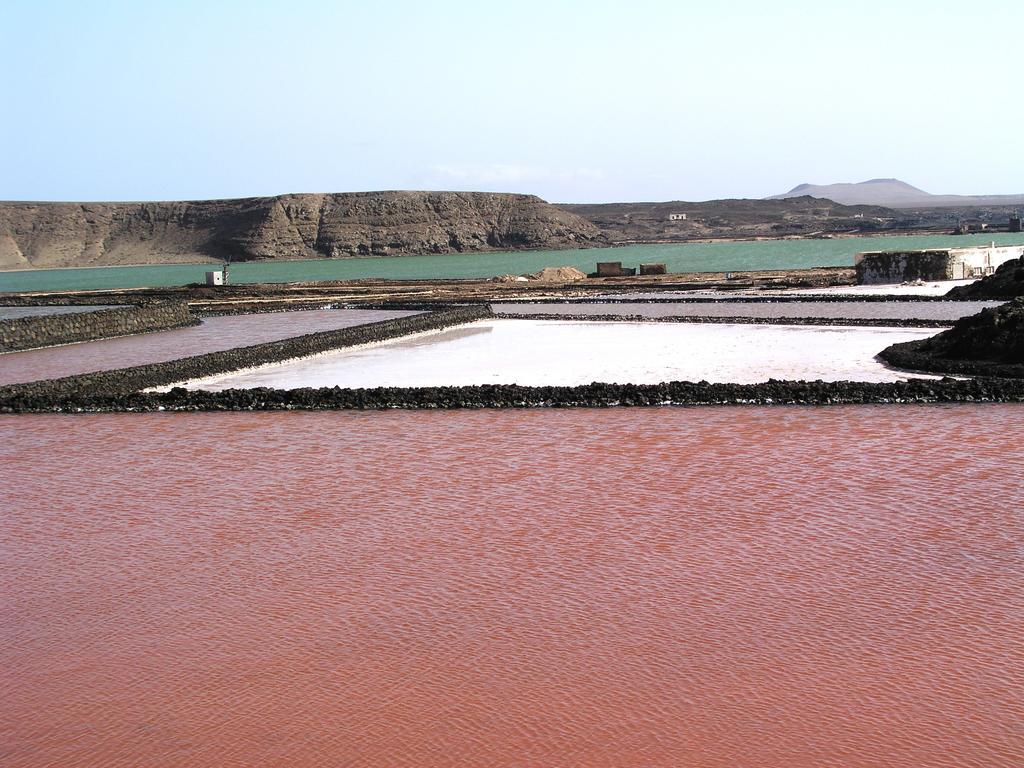 Masdache Finca El Oratorio חדר תמונה